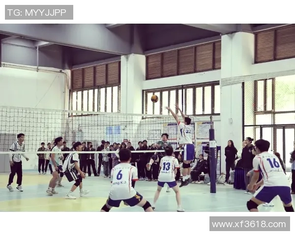 广州排球队的拼搏之路：城市联赛背后的奋斗与荣耀