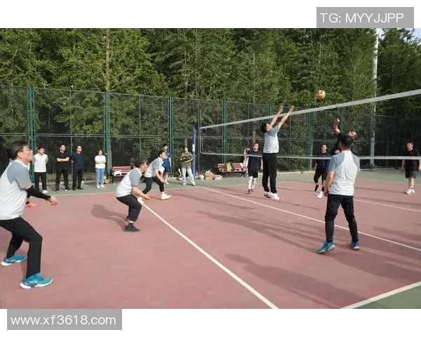 排球团队协作实力评比北京排球队荣获第五名佳绩