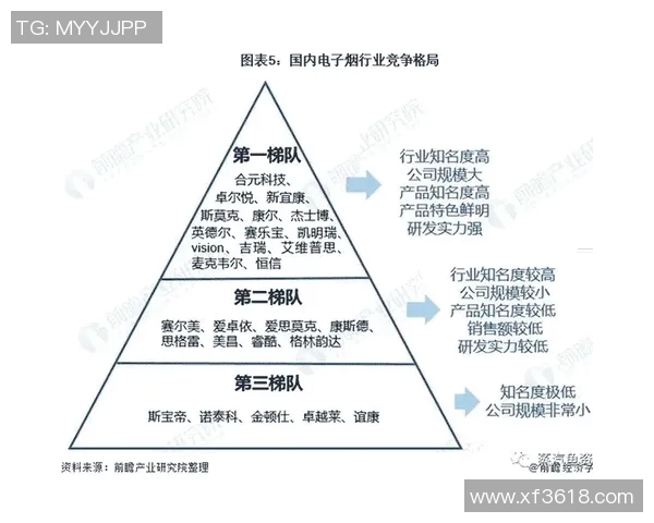 成都篮球队运营模式分析与市场发展潜力探讨