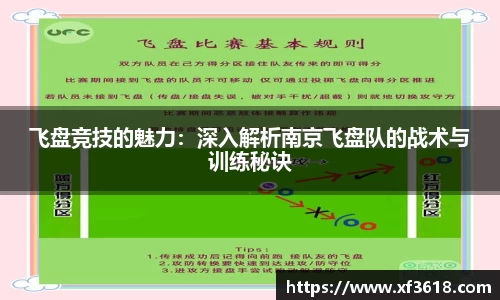 飞盘竞技的魅力：深入解析南京飞盘队的战术与训练秘诀