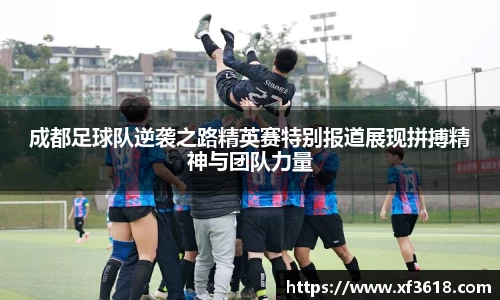 mk体育